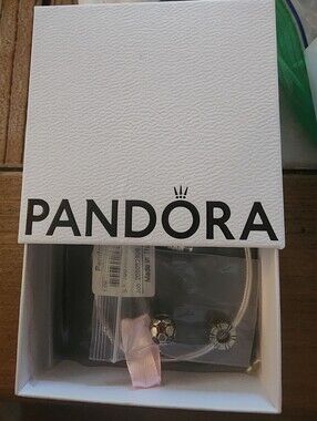 Pandora Silver Bracelet NEW, 2 Charms Box, Bag And Jewelry Travel Case
